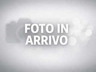 Altro