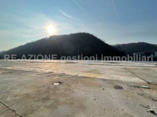Zona