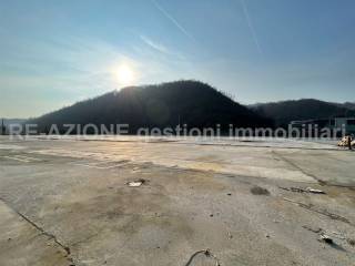 Zona