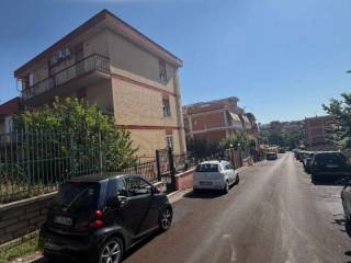 Zona