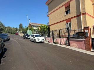 Zona