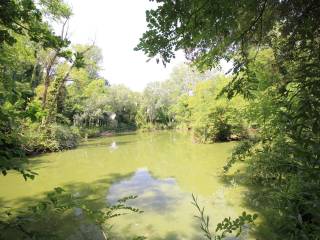 Zona