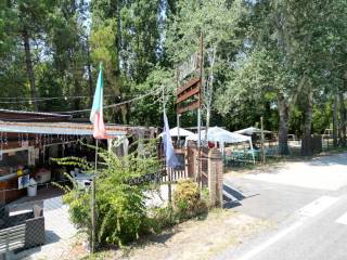 Zona