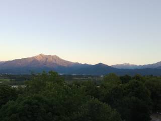 Vista