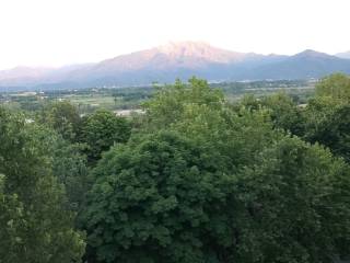 Vista