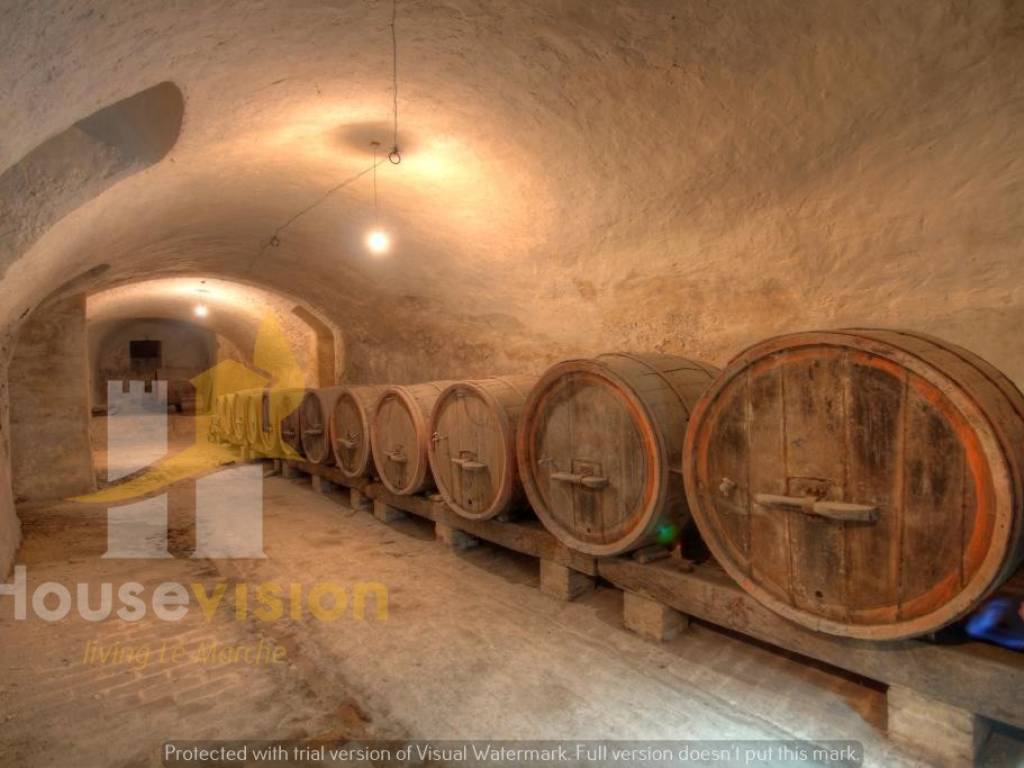 Cantina