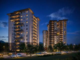 Zona