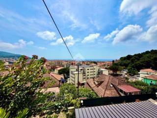 Vista