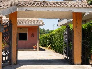 Ingresso