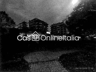 Zona