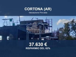 Zona