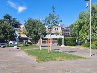 Zona