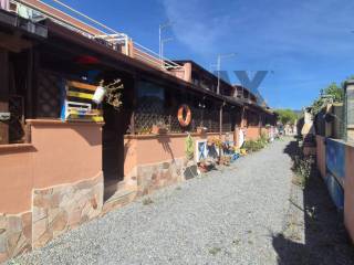 Zona