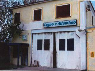 Zona