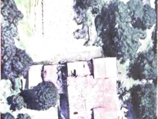 Planimetria