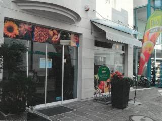 Zona