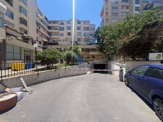 Zona