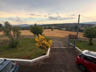 Vista