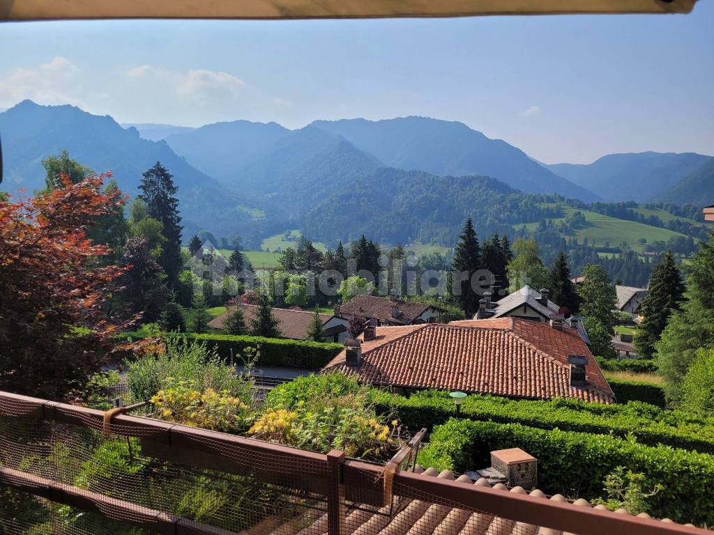 Vista
