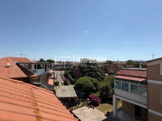 Vista