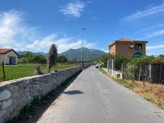 Zona