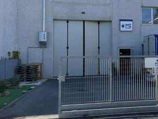Ingresso
