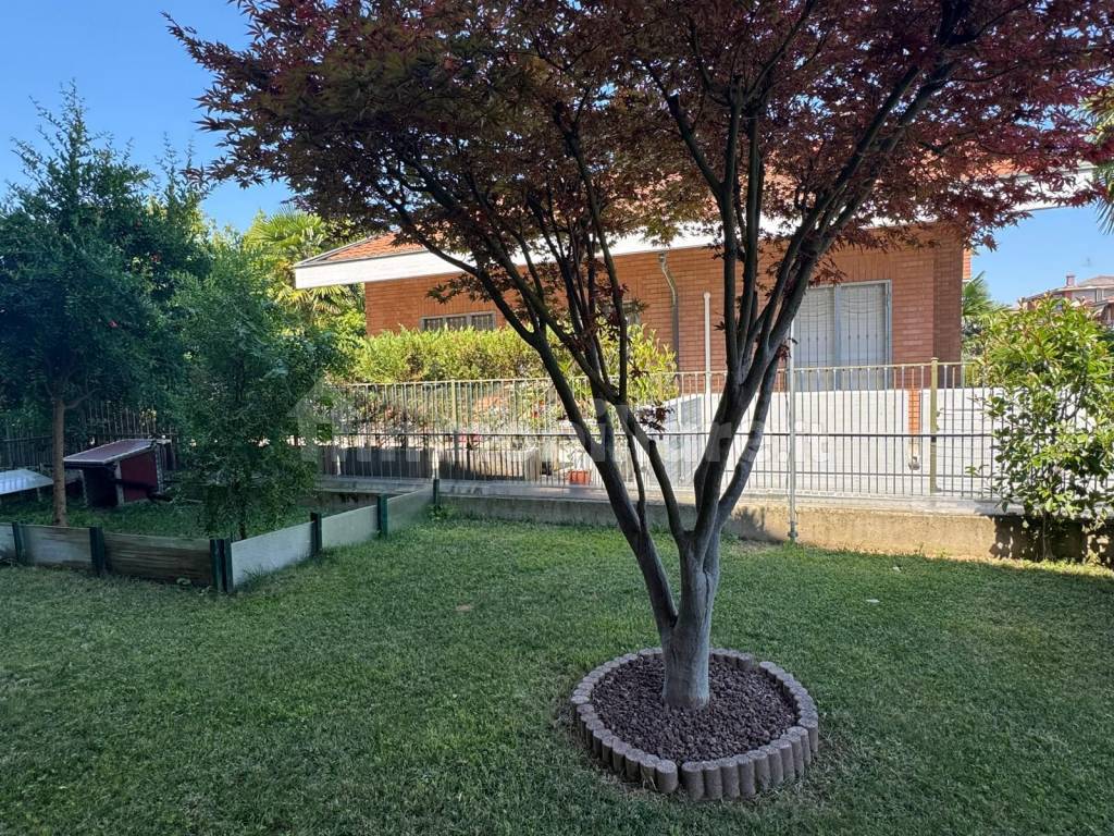 Giardino