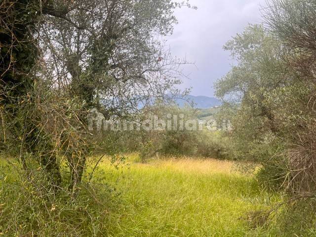 Terreno