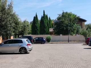 Zona