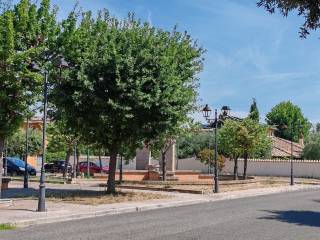 Zona