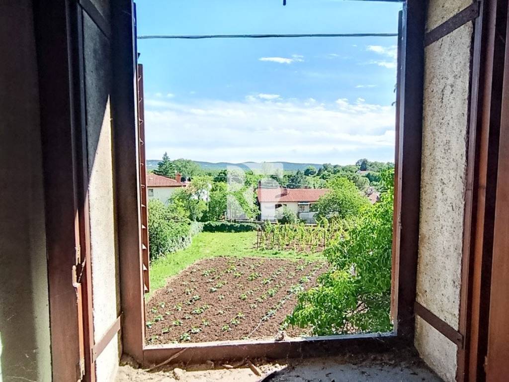 Vista