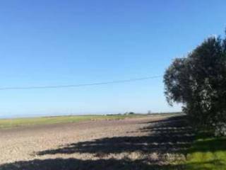 Zona