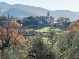 Vista