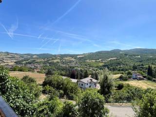 Vista