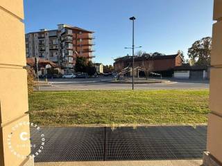 Zona
