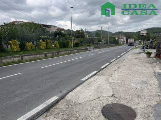 Zona