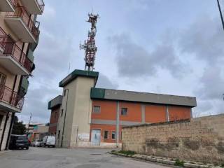 Zona
