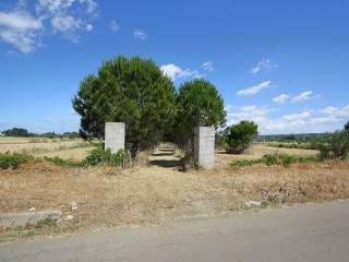 Terreno