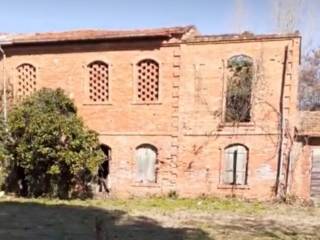 Zona