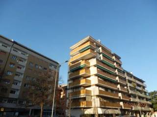 Zona