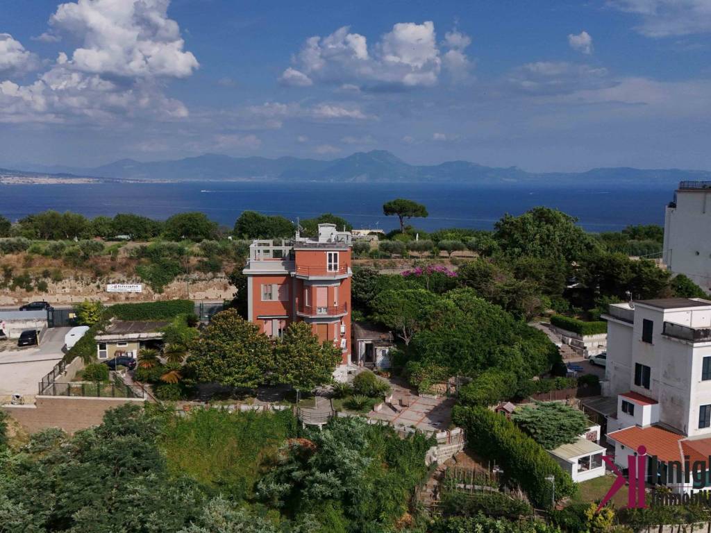 Vista