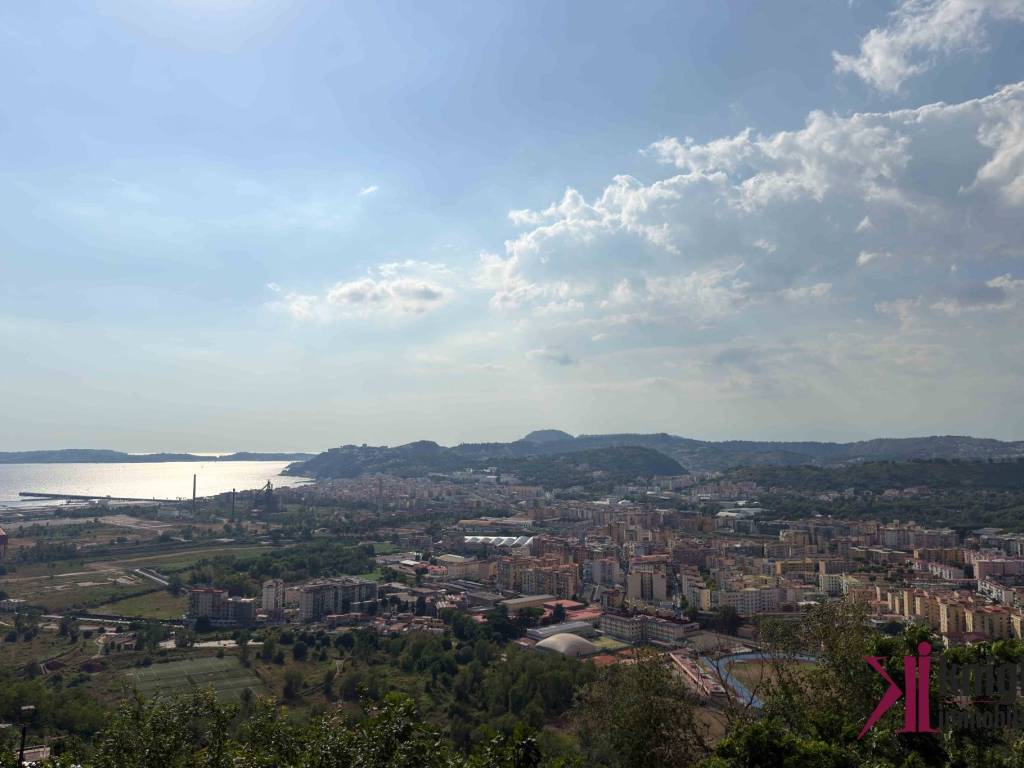 Vista