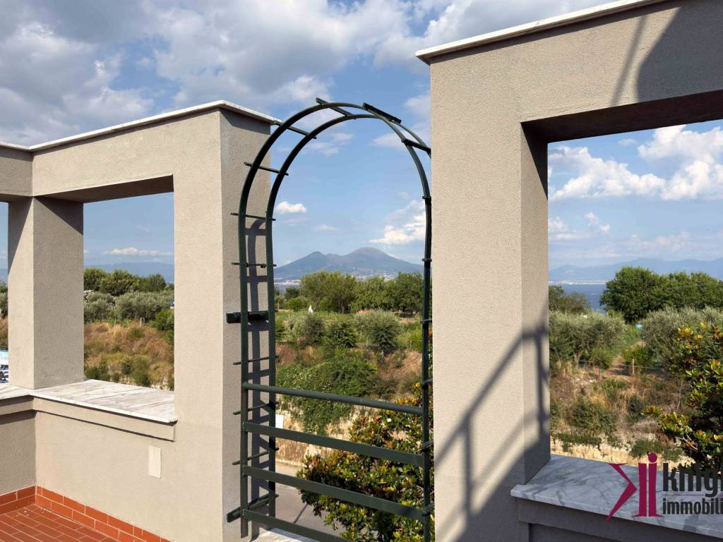 Vista