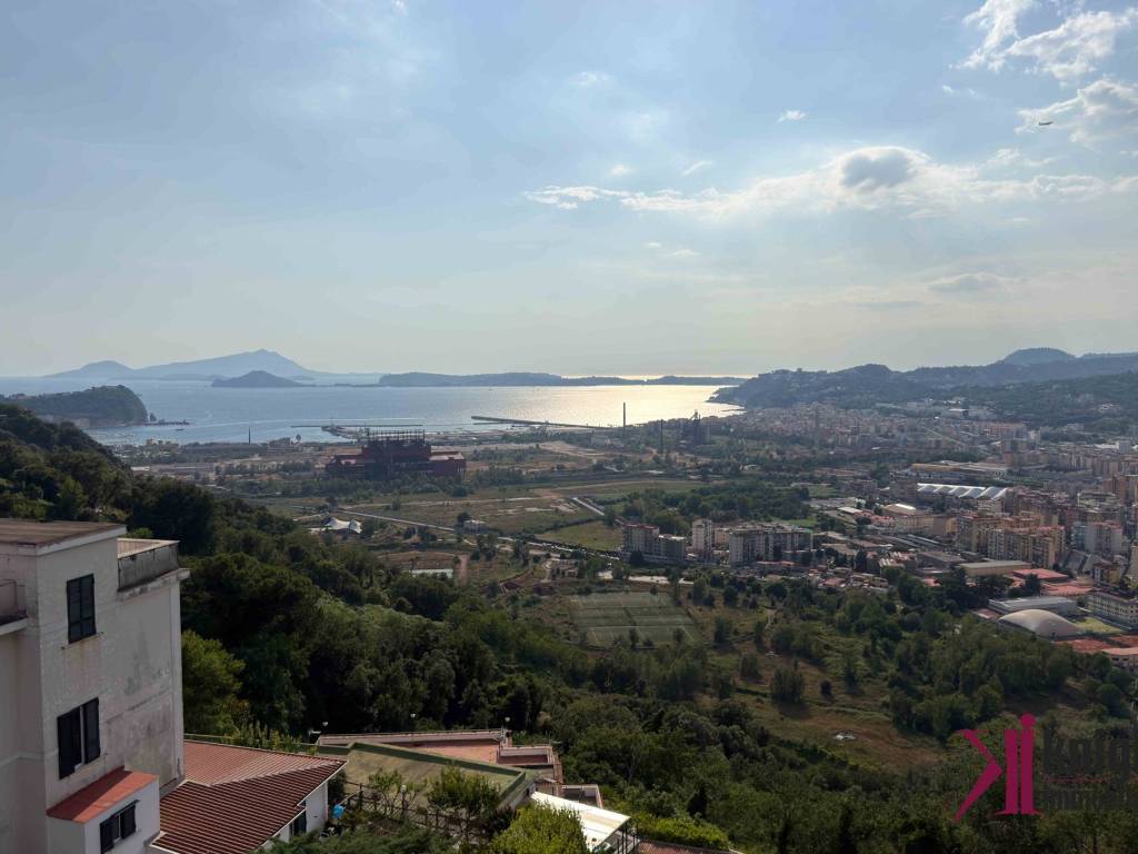 Vista