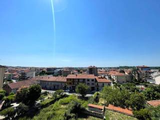 Vista