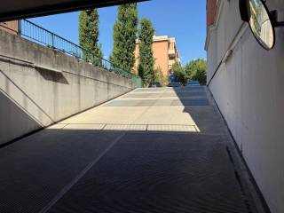 Zona