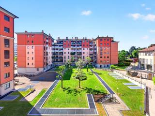 Vista