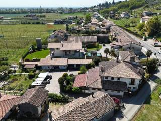 Vista