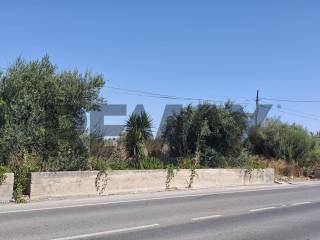 Zona