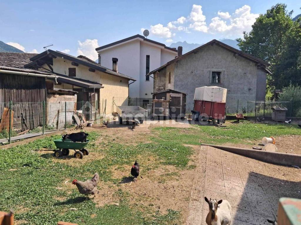 Giardino
